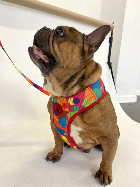 Dog Harness Kaleidoscope Psiakrew, Always Feeling Cool, Super Soft