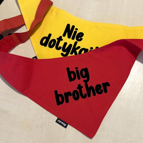 BIG BROTHER Hundehalstuch Psiakrew