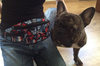 Hip Bag French Bulldog, Frenchie Dog Bum Bag Psiakrew