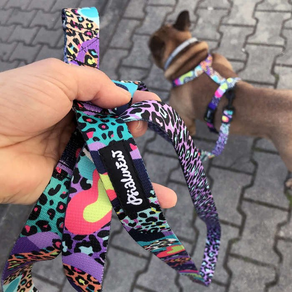 Dog Leash Crazy Leopard width 2.5 cm, 1" wide, snap hook black 8cm