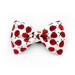 Dog Bow Tie Ladybug, pet bowtie