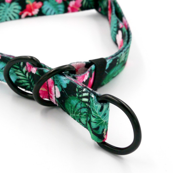 Half-choke collar Tropical Monstera, 2.5 cm wide, medium and big dogs, black extras