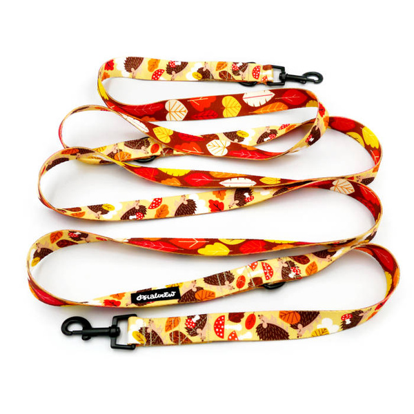 Dog Leash Hedgehog Dreamer width 2.5 cm, 1" wide, snap hook black 6cm