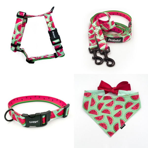 ACCESSORY KIT. Small dog. Watermelon Psiakrew Series; Collar, Harness, Leash, Bandana