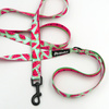 Walking leash for Dog Watermelon Psiakrew width 2 cm, black snap hook 6 cm