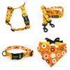 ACCESSORY KIT. Small dog. Busy Bees Psiakrew Series; Collar, Harness, Leash, Bandana
