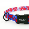 Dog Collar Psiakrew Sea Look 2.5 cm wide, black extras
