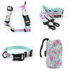 ACCESSORY KIT. Big dog. Azure Pool Psiakrew Series; Collar, Harness, Leash, Sachet for dog treats