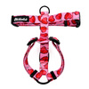 Harness for Dog, Lollipops Psiakrew Guard Harness Small Harness for small dogs, puppies, black extras