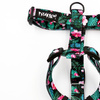 Harness for Dog, Model Tropical Monstera Guard Harness, black extras