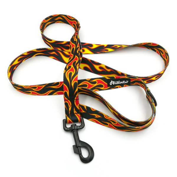 Hundeleine Dog On Fire Breite 2,5 cm, 1" breit, kräftiger schwarzer Karabiner 8cm