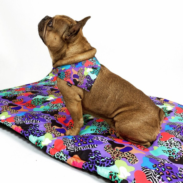 Premium Hundehalstuch Crazy Leopard-Taschentuch zum Binden um den Hals Ihres Haustieres