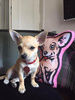 Chihuahua Pillow Dog Decorative Cushion Cuddly Mascot Psiakrew