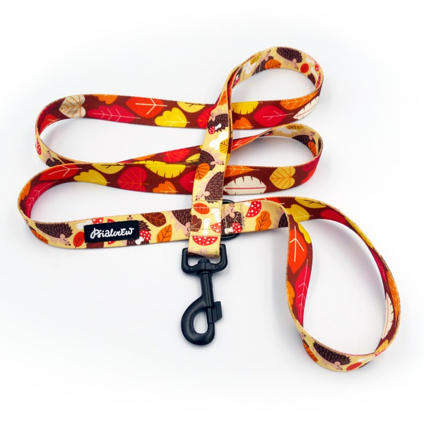 Dog Leash Hedgehog Dreamer width 2.5 cm, 1"  wide, big black snap hook 8 cm