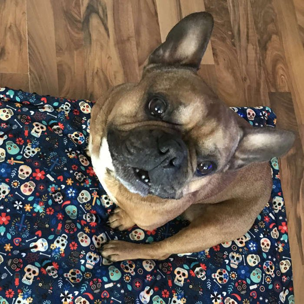 Koc dla psa Día de los Muertos mata, pled polar Minky