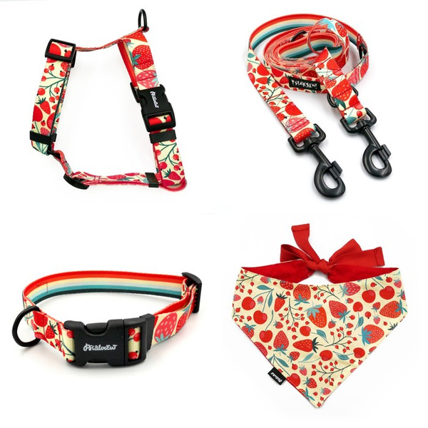 ACCESSORY KIT. Big dog. Fruit Jelly Psiakrew Series; Collar, Harness, Leash, Bandana