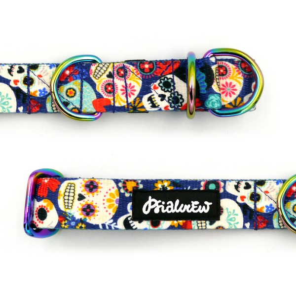 Halbes Würgehalsband Día de los Muertos 2,5 cm breit, für mittelgroße und größere Hunde, Holo-Beschläge