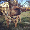 Dog Harness, Tarzan panthera pattern, Always Feeling Cool, Super Soft Psiakrew 