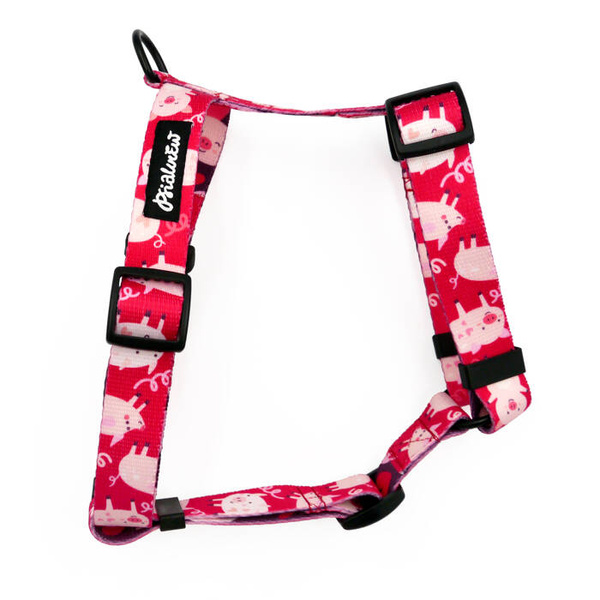 Hundegeschirr Piggy in Love Psiakrew, mittlere und größere Hunde, 2,5 cm Gurtband, schwarze Beschläge