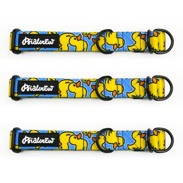 Half-Choke-Halsband Ducky Duck, 2 cm breit, für kleine Hunde, schwarze Accessoires