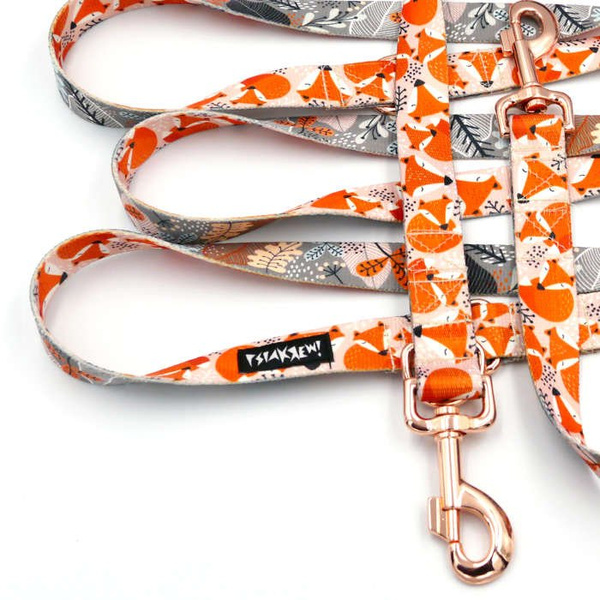 Dog Leash Foxy Lady width 2.5 cm, 1" wide, pink gold, big snap hook 8 cm