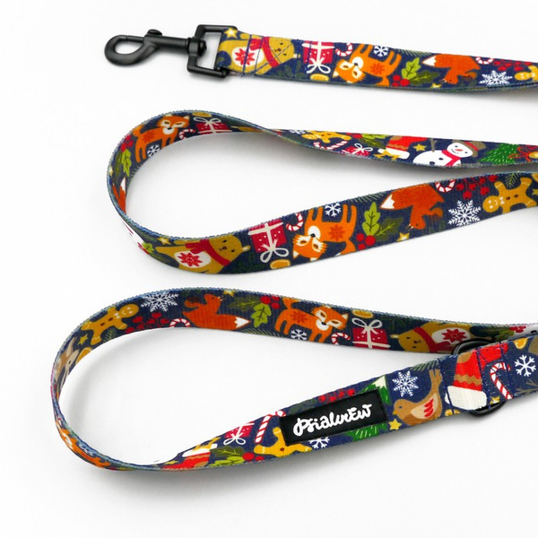 Dog Leash Winter is Coming Psiakrew width 2.5 cm, 1"  wide, black snap hook 6 cm