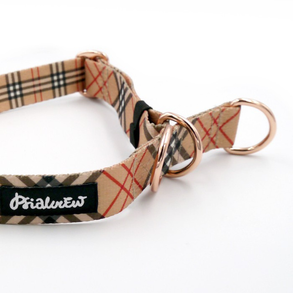 Halb-Klemmhalsband Dogberry Psiakrew, 2,5 cm, für mittelgroße und größere Hunde, Extras rosagolden