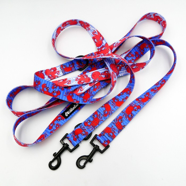 Dog Leash Sea Look width 2.5 cm, 1" wide, snap hook black 6cm