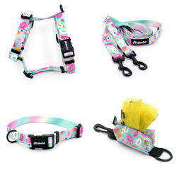 ACCESSORY KIT. Small dog. Azure Pool Psiakrew Series; Collar, Harness, Leash, Pouch
