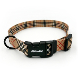 Dog Collar Dogberry Psiakrew 2.5 cm 1"  wide, black fittings