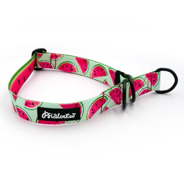 Half-choke collar Watermelon, 2.5 cm wide, medium and big dogs, black extras