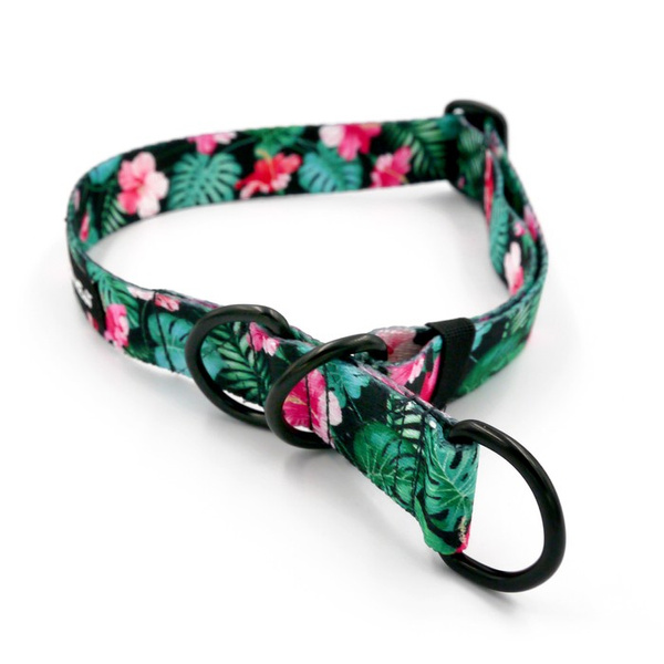 Half-choke collar Tropical Monstera, 2.5 cm wide, medium and big dogs, black extras