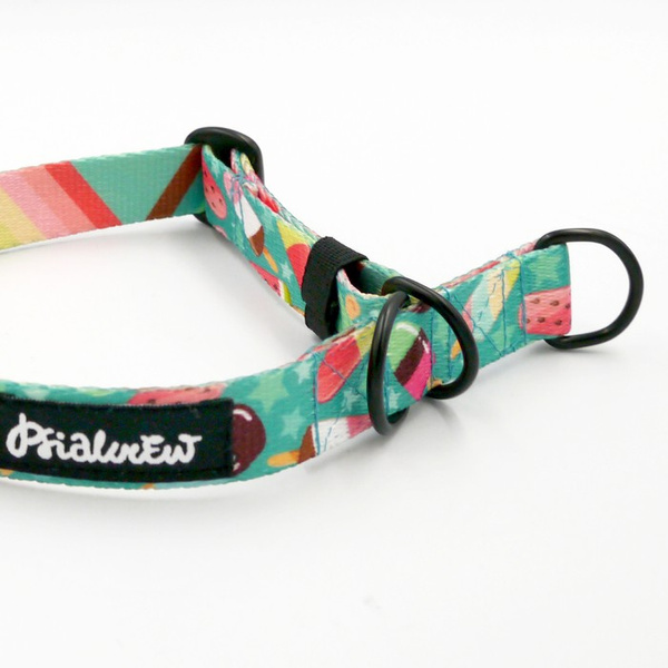 Obroża półzaciskowa Ice Ice Baby szeroka na 2 cm, dla małych psów, czarne dodatki