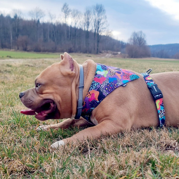 Premium Dog Bandana Crazy Leopard handkerchief style to tie around your pet’s neck