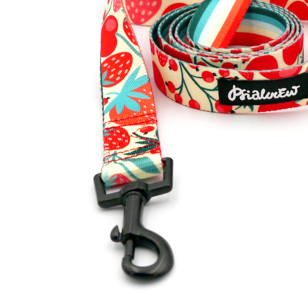 Hundeleine Fruit Jelly Psiakrew Breite 2,5 cm, 1" breit, schwarzer Karabinerhaken 6 cm