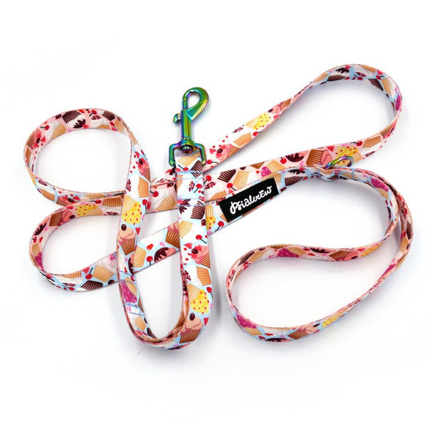 Dog Leash Hot Sweetness width 2 cm 0.78 ", holo snap hook 7 cm