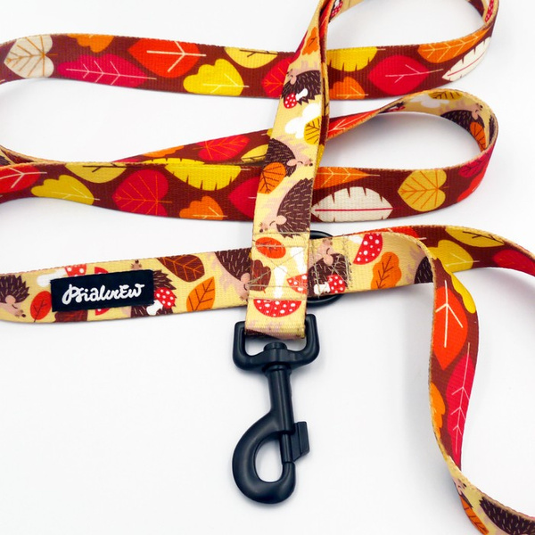 Dog Leash Hedgehog Dreamer width 2.5 cm, 1"  wide, big black snap hook 8 cm