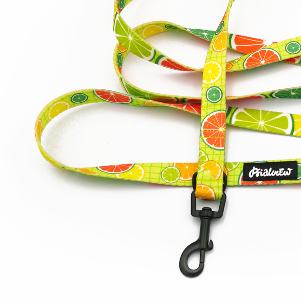 Hundeleine Lemonade Psiakrew Breite 2 cm, schwarzer Karabinerhaken 6 cm