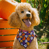 Premium Dog Bandana Terrible Pumpkin, Halloween handkerchief style to tie around your pet’s neck
