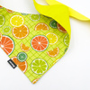 Dog Bandana Lemonade Psiakrew handkerchief style to tie around your pet’s neck