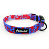 Dog Collar Psiakrew Sea Look 2.5 cm wide, black extras