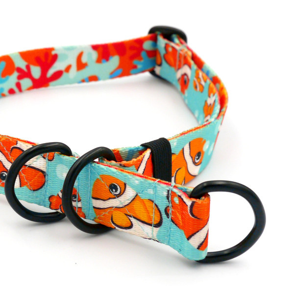 Halb-Klemmhalsband Blue Lagoon Psiakrew, 2,5 cm breit, für mittelgroße und größere Hunde, Schwarz-Beschläge