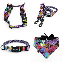 ACCESSORY KIT. Small dog. Crazy Leopard Psiakrew  Series; Collar, Harness, Leash, Bandana