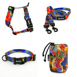 ACCESSORY KIT. Small dog. Colorful Thicket Psiakrew Series; Collar, Harness, Leash, Sachet for dog treats