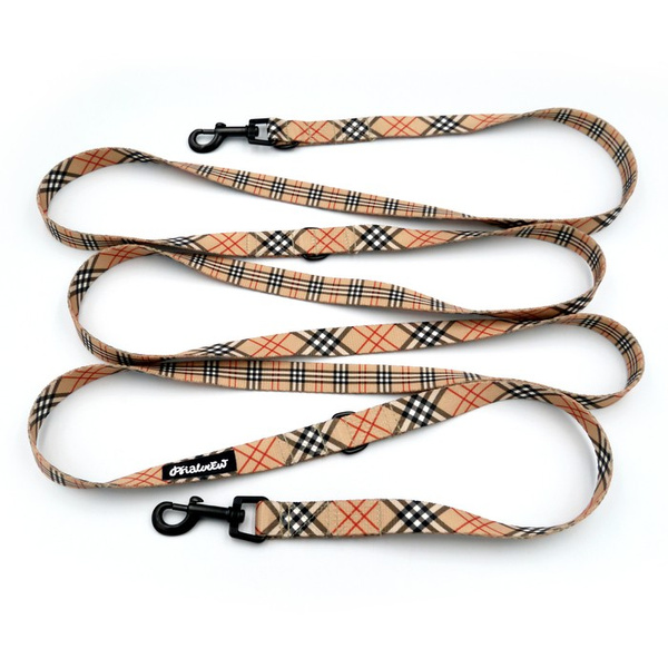 Long Dog Leash Dogberry Psiakrew width 2 cm (0.78"), black snap hook 6 cm