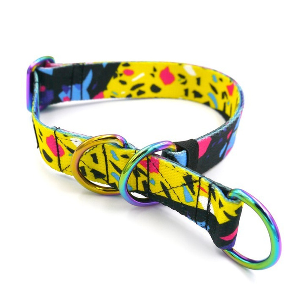 Halb-Klemmhalsband- Terrazzo, 2,5 cm breit, für mittelgroße und größere Hunde, Holo-Beschläge, Psiakrew