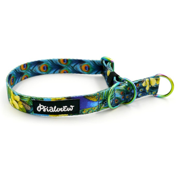 Half-choke collar Peacock's Eye Psiakrew, 2 cm wide, for small dogs, Holo extras