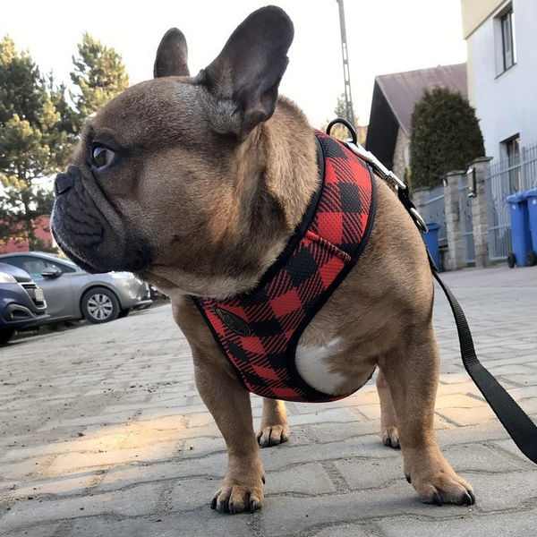 Dog Harness Lumberjack, Always Feeling Cool, Super Soft Psiakrew