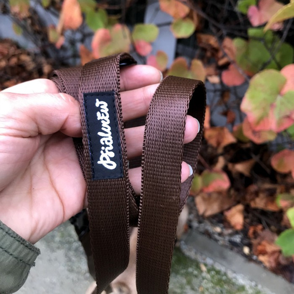 Brown Dog Leash width 2 cm 0.78 ", black extras