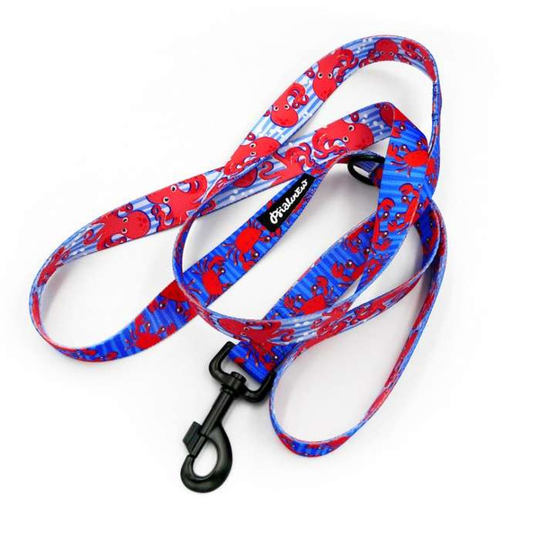 Hundeleine Sea Look Breite 2,5 cm, 1" breit, großer schwarzer Karabinerhaken 8 cm